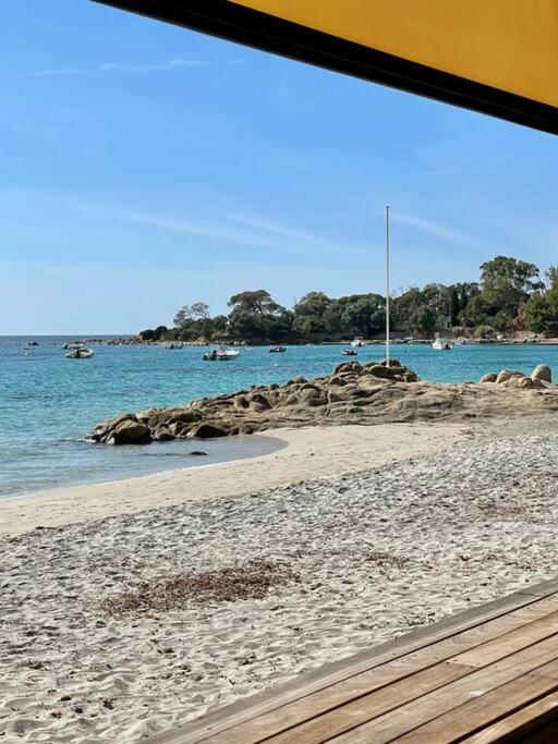 Apartment Paillote Perchee A 180 ° Sur La *