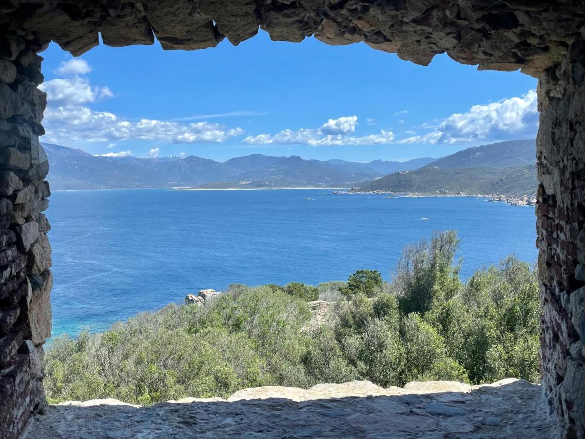Apartment Paillote Perchee A 180 ° Sur La *